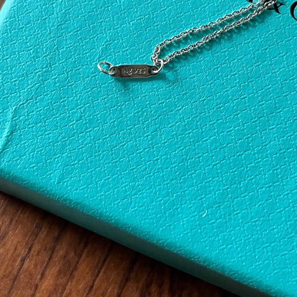 Tiffany and Co double chain bracelet